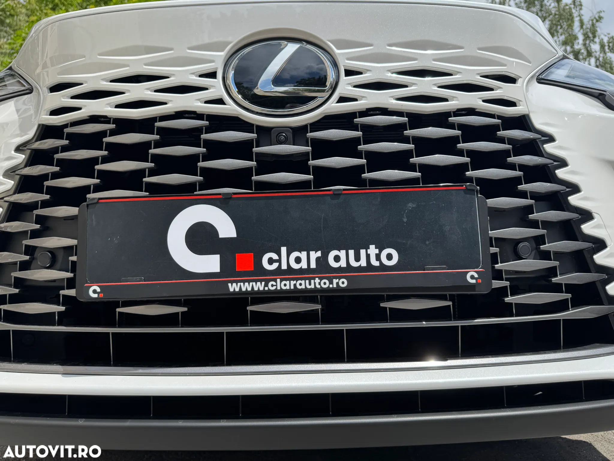 Lexus Seria RX 450h+ (Plug-in-Hybrid) Luxury Line - 12