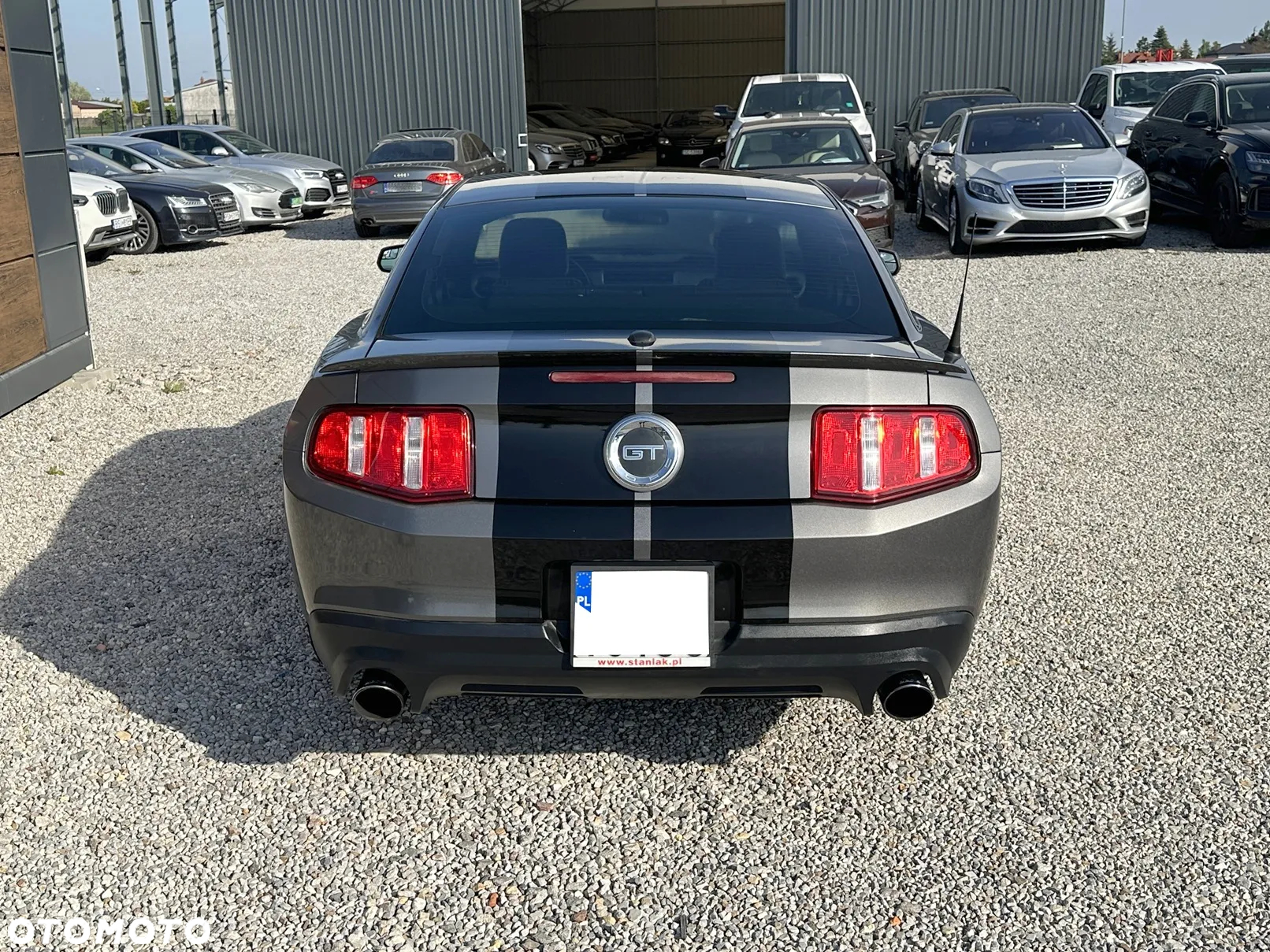 Ford Mustang 5.0 V8 GT - 11