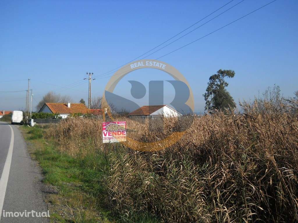 Terreno Ovar - Grande imagem: 3/5