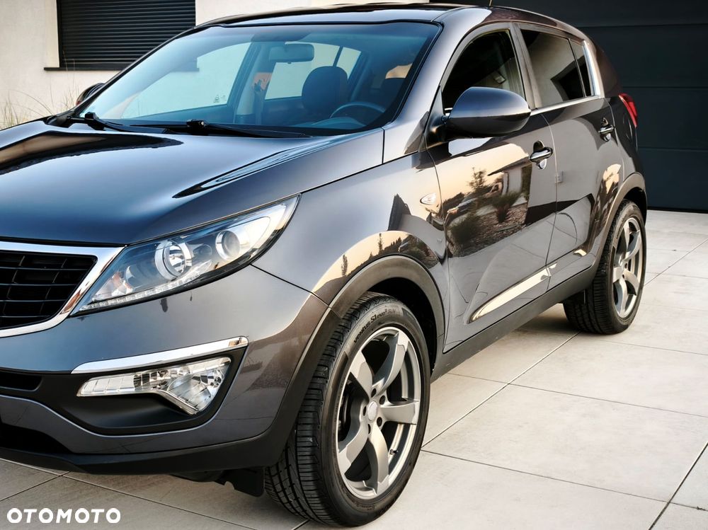 Kia Sportage - 29