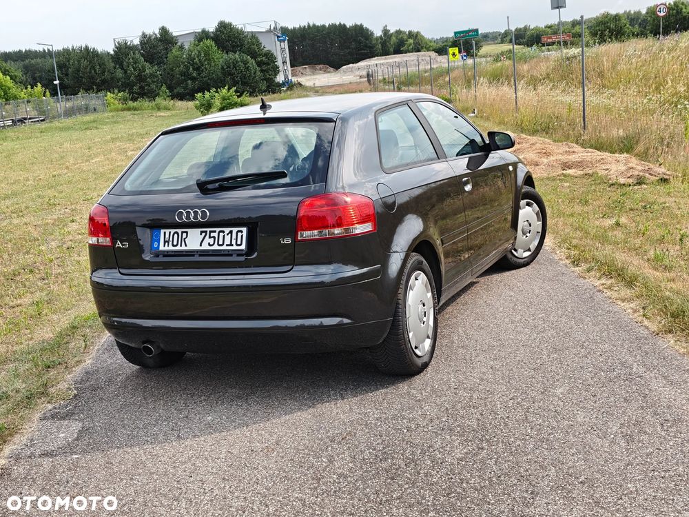 Audi A3 3-drzwiowe 1.6 Ambiente - 22