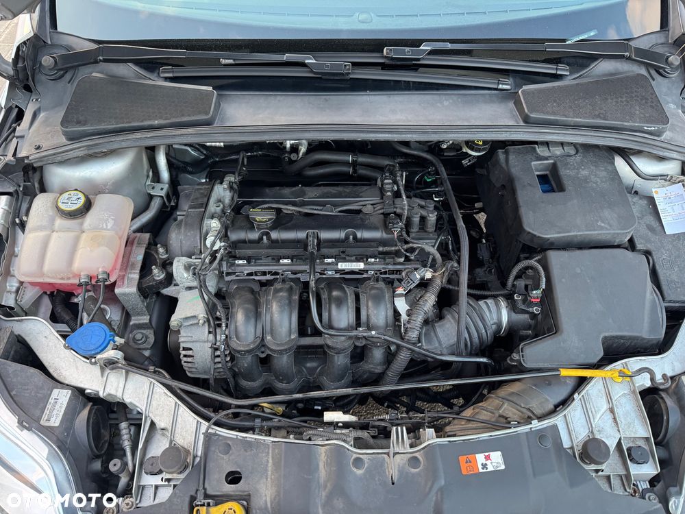 Ford Focus 1.6 FF Ambiente - 33