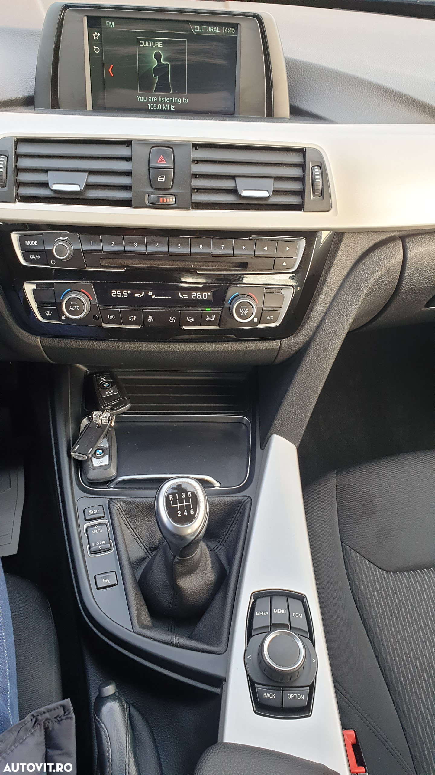 BMW Seria 3 318d xDrive Advantage - 30