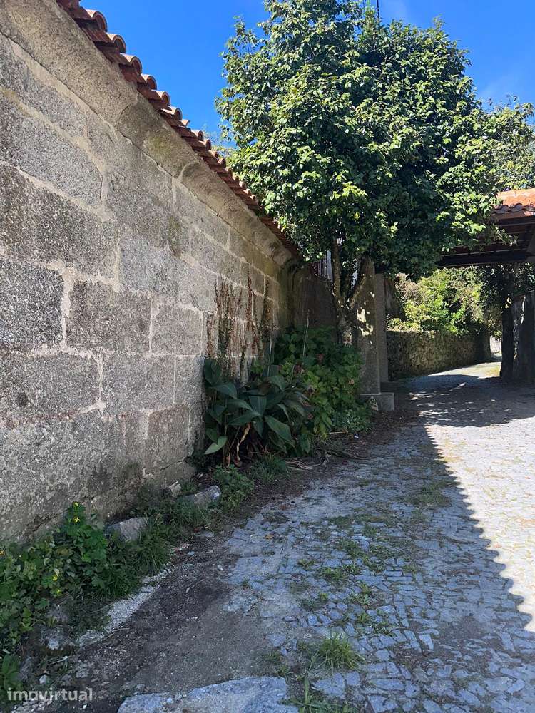 Moradia para restauro em Ribeiros - Grande imagem: 3/16