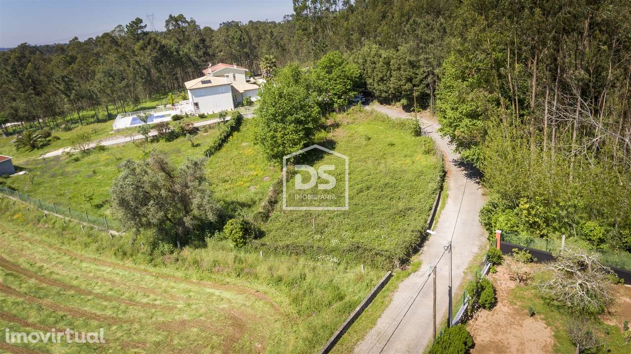 Terreno  Venda em Canedo, Vale e Vila Maior,Santa Maria da Feira - Grande imagem: 4/11