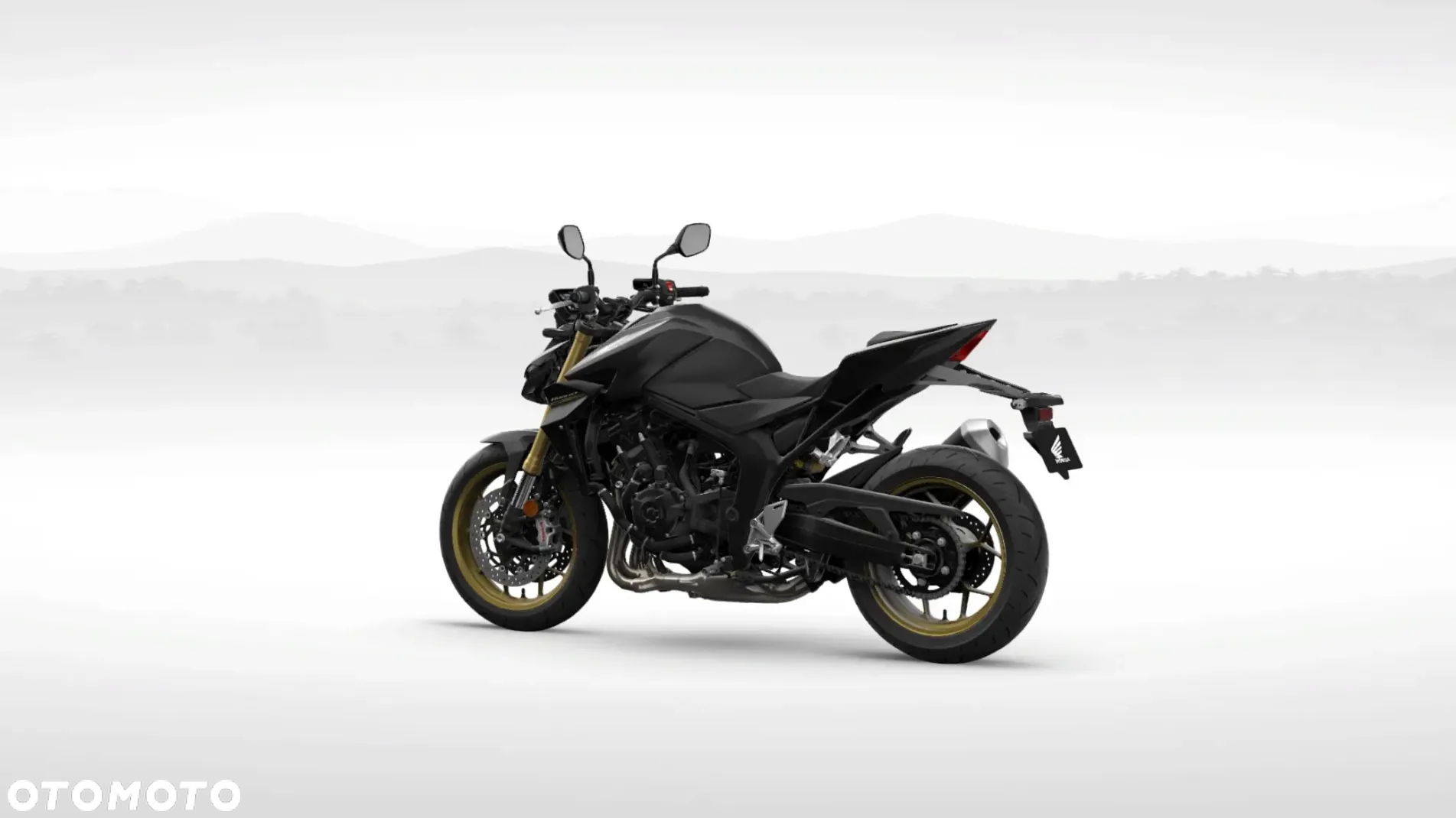 Honda Hornet - 4