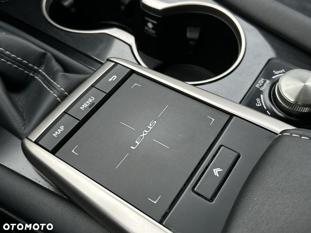 Lexus RX 450h F-Impression - 20