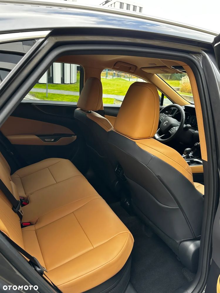 Lexus NX 350h Prestige 2WD - 13