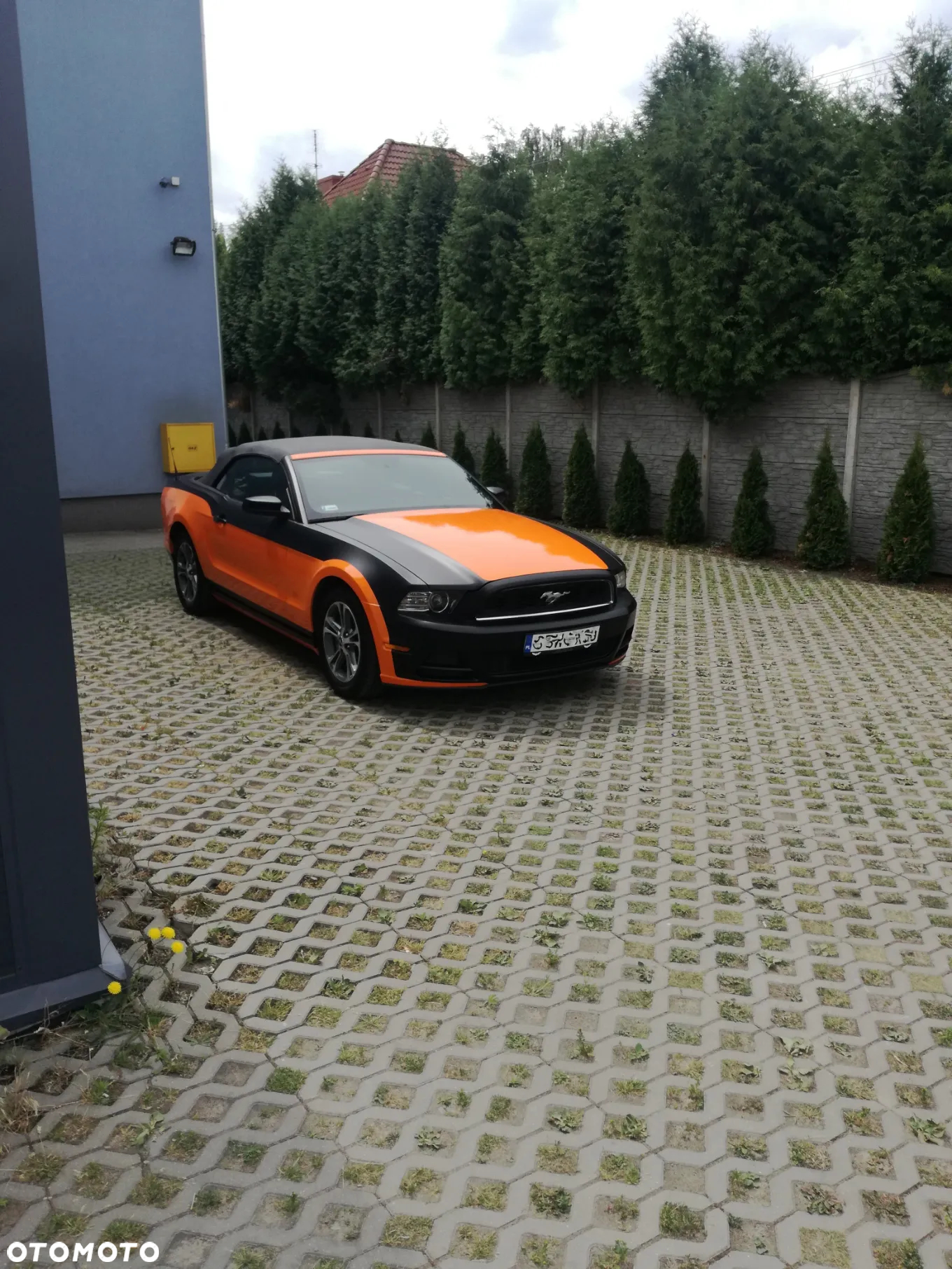 Ford Mustang 3.7 V6 - 2