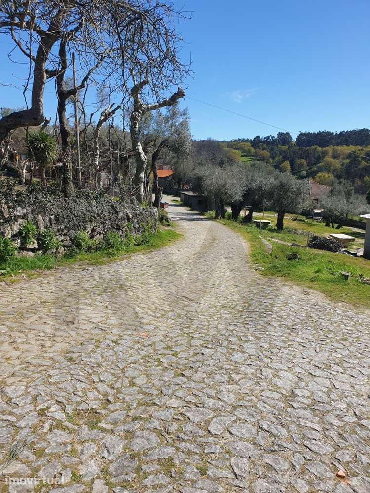 Terreno Rústico para Venda  com 2500m2– Lugar de Asnela, Rio Douro – C - Grande imagem: 4/8
