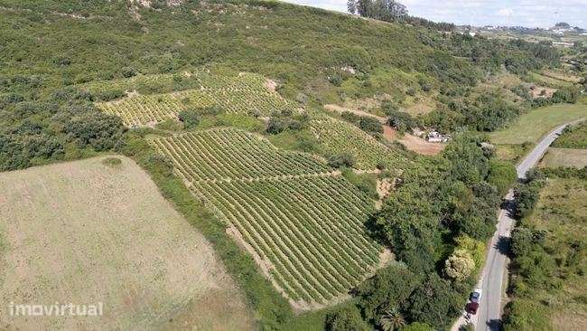 Terreno Rústico com 35.880m² - Sobral Monte Agraço - Grande imagem: 3/7