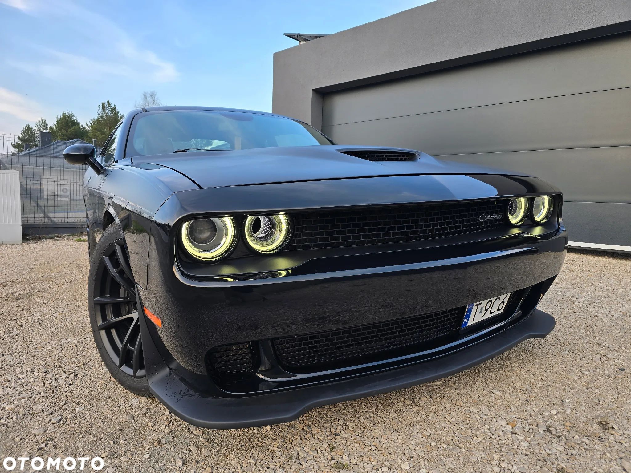 Dodge Challenger 6.4 Scat Pack T/A - 1