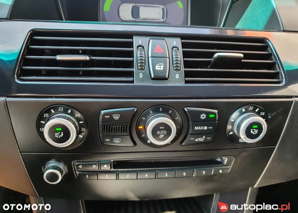 BMW Seria 5 - 30