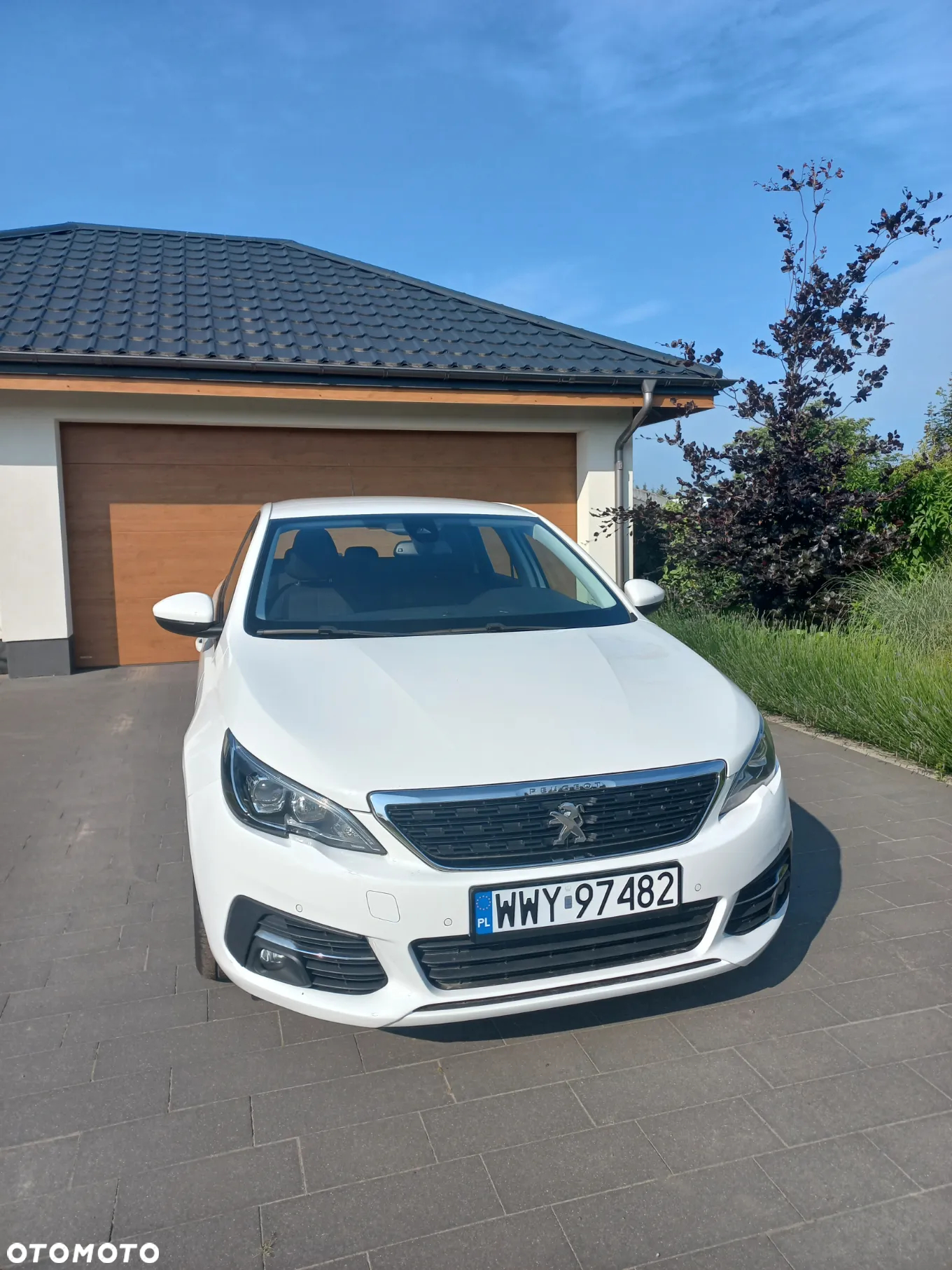 Peugeot 308 - 16