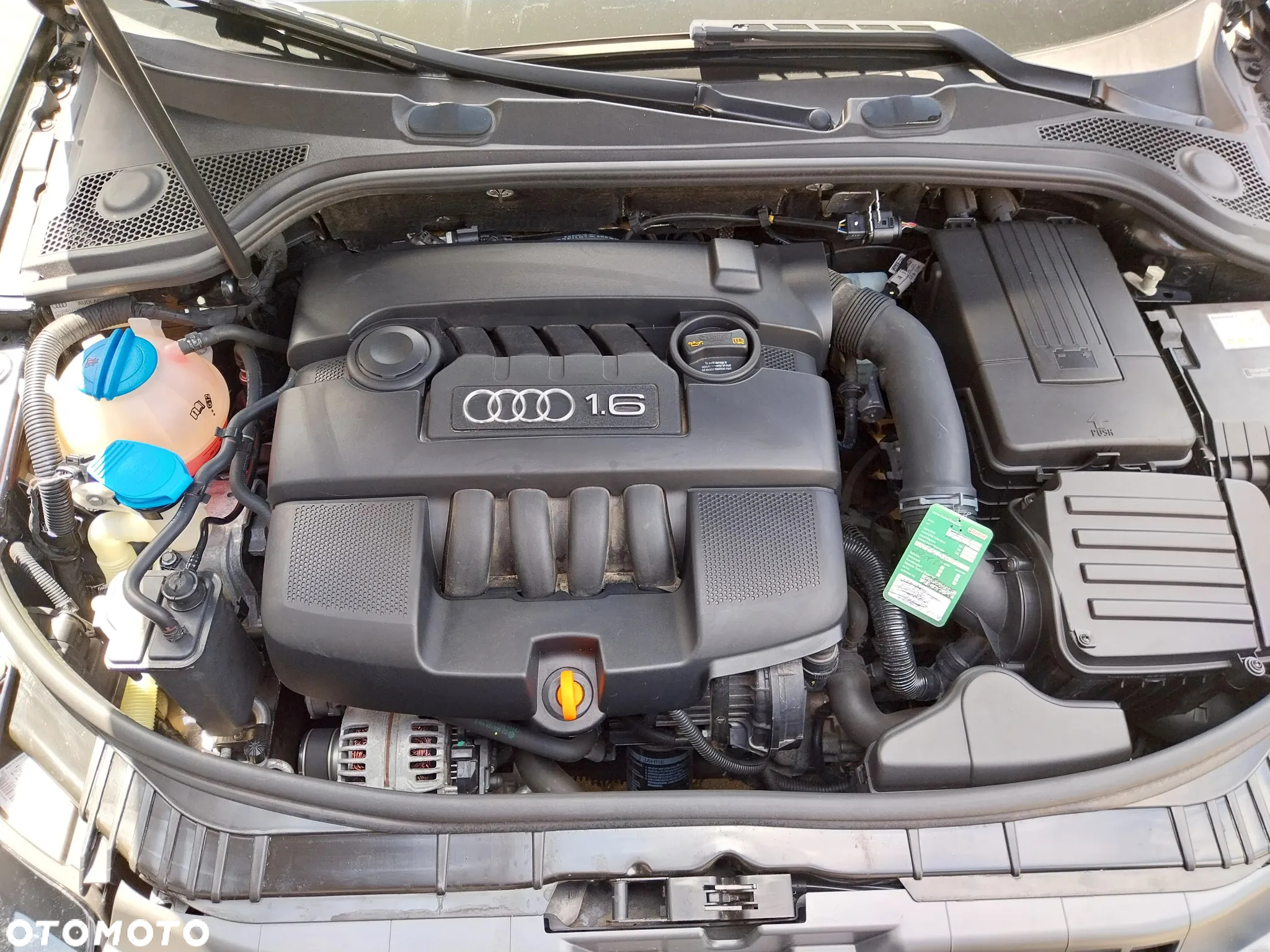 Audi A3 1.6 Attraction - 13