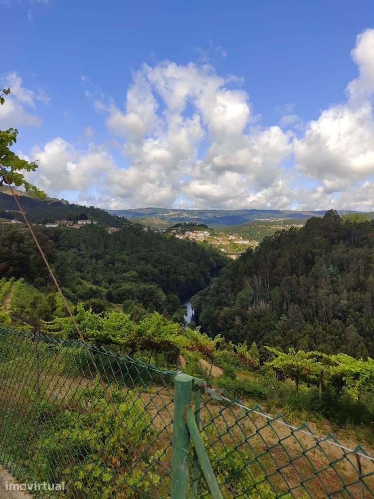 Quinta T7 Venda em Fornos,Castelo de Paiva - Grande imagem: 2/18