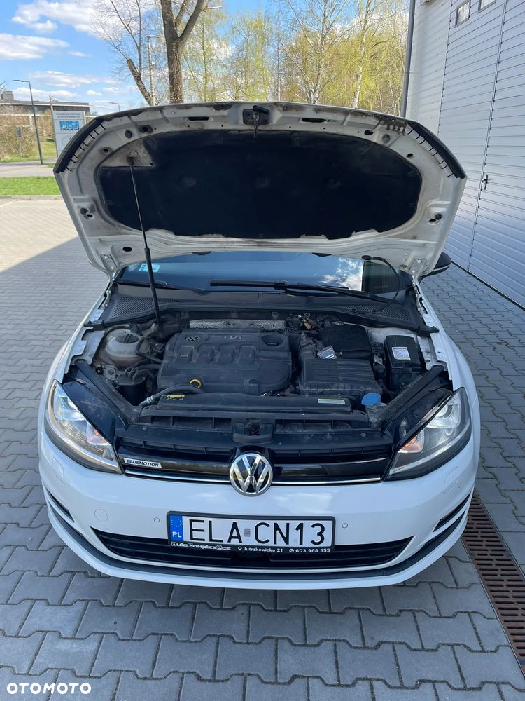 Volkswagen Golf 1.6 TDI BlueMotion Technology Trendline - 9