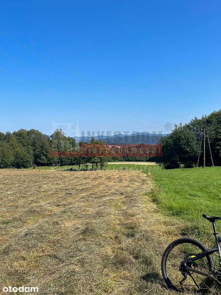 Działka na sprzedaż, 9176m², Stara Łomnica