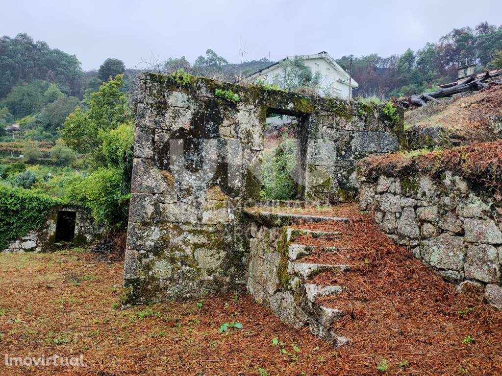 Quinta - Grande imagem: 4/31