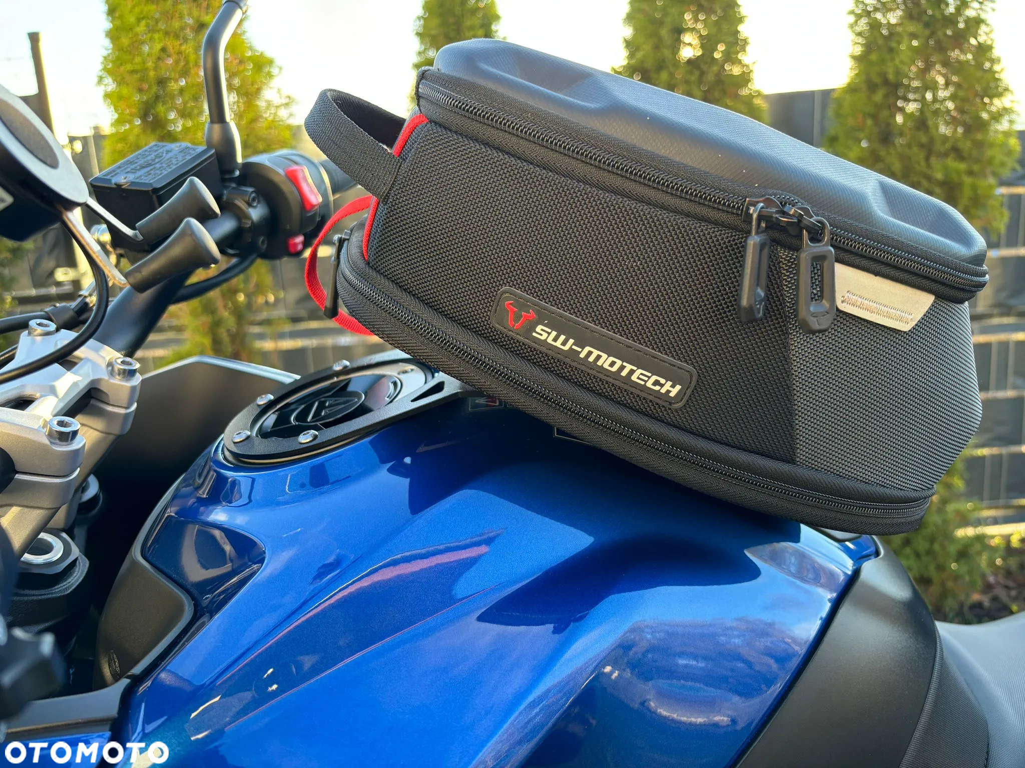 Triumph Tiger - 9