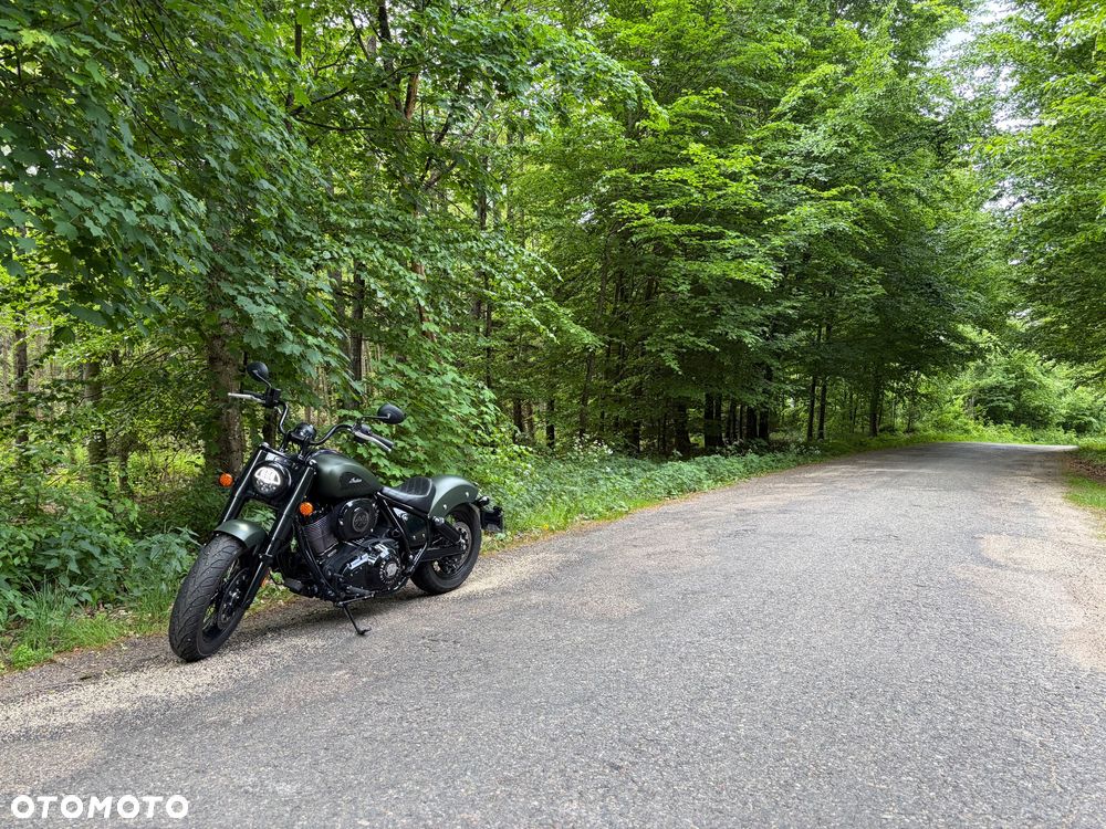 Indian Chief - 6