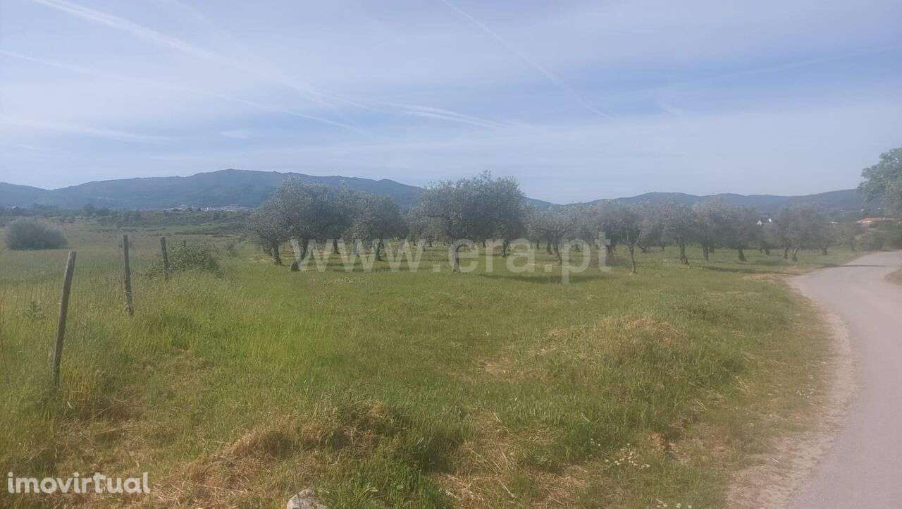 Terreno Rústico / Fundão, Alcaria - Grande imagem: 2/2
