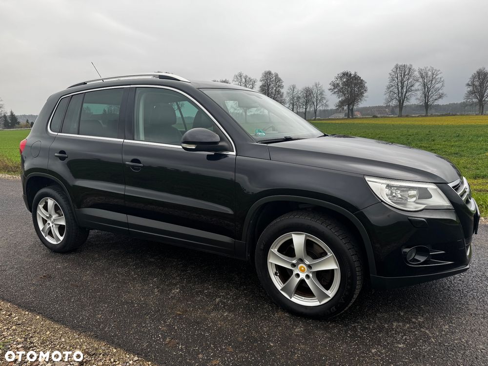 Volkswagen Tiguan - 13