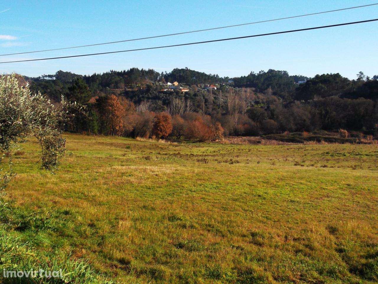 Excelente terreno Agrícola - Grande imagem: 3/3