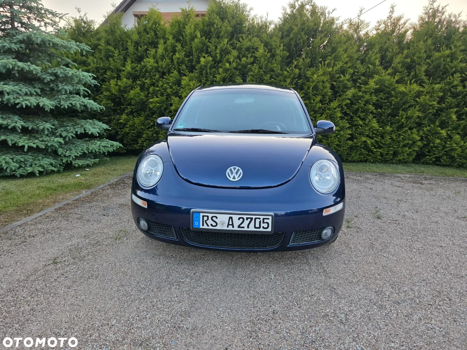 Volkswagen New Beetle 1.4 United - 2