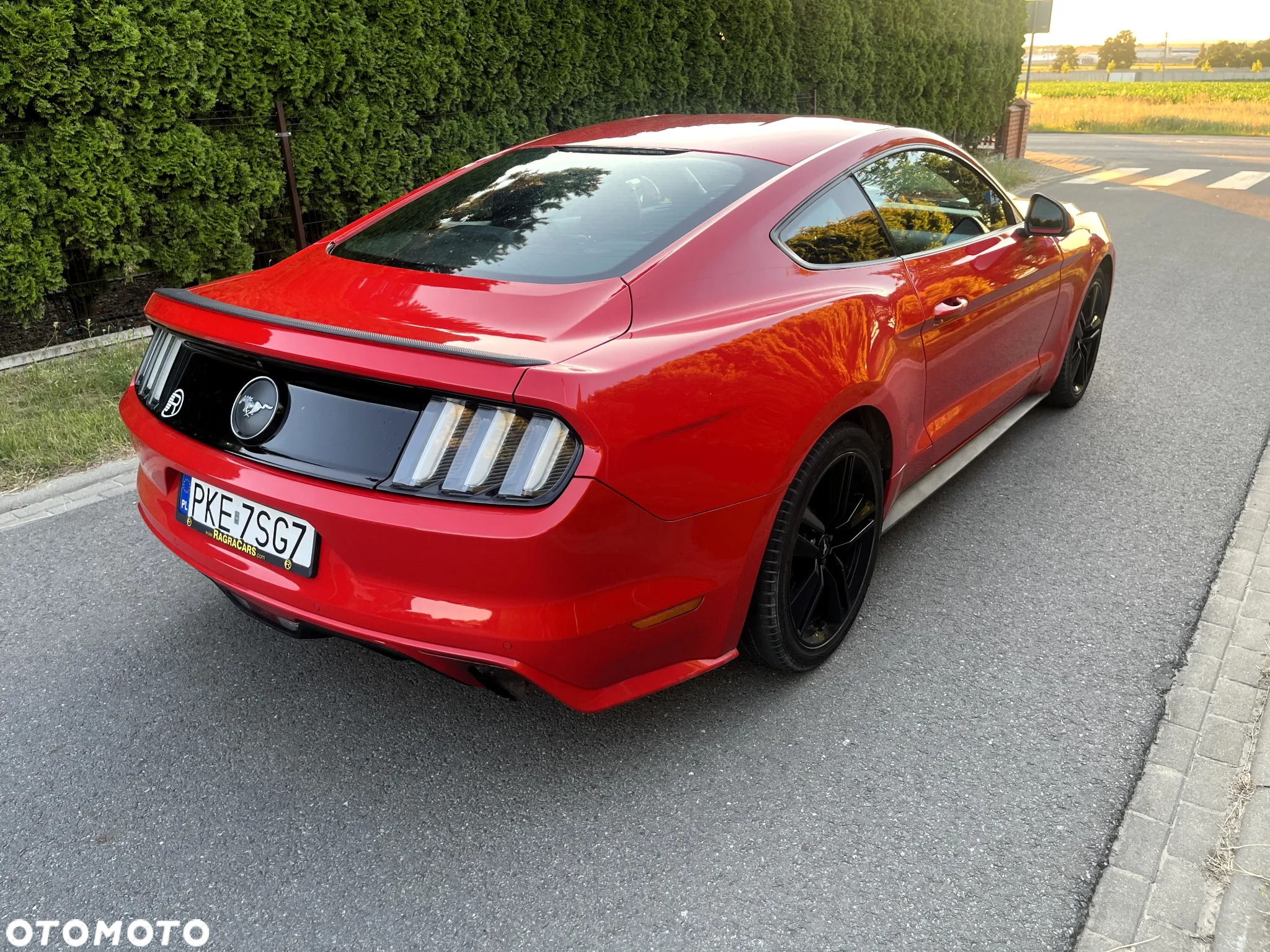 Ford Mustang 2.3 EcoBoost - 5