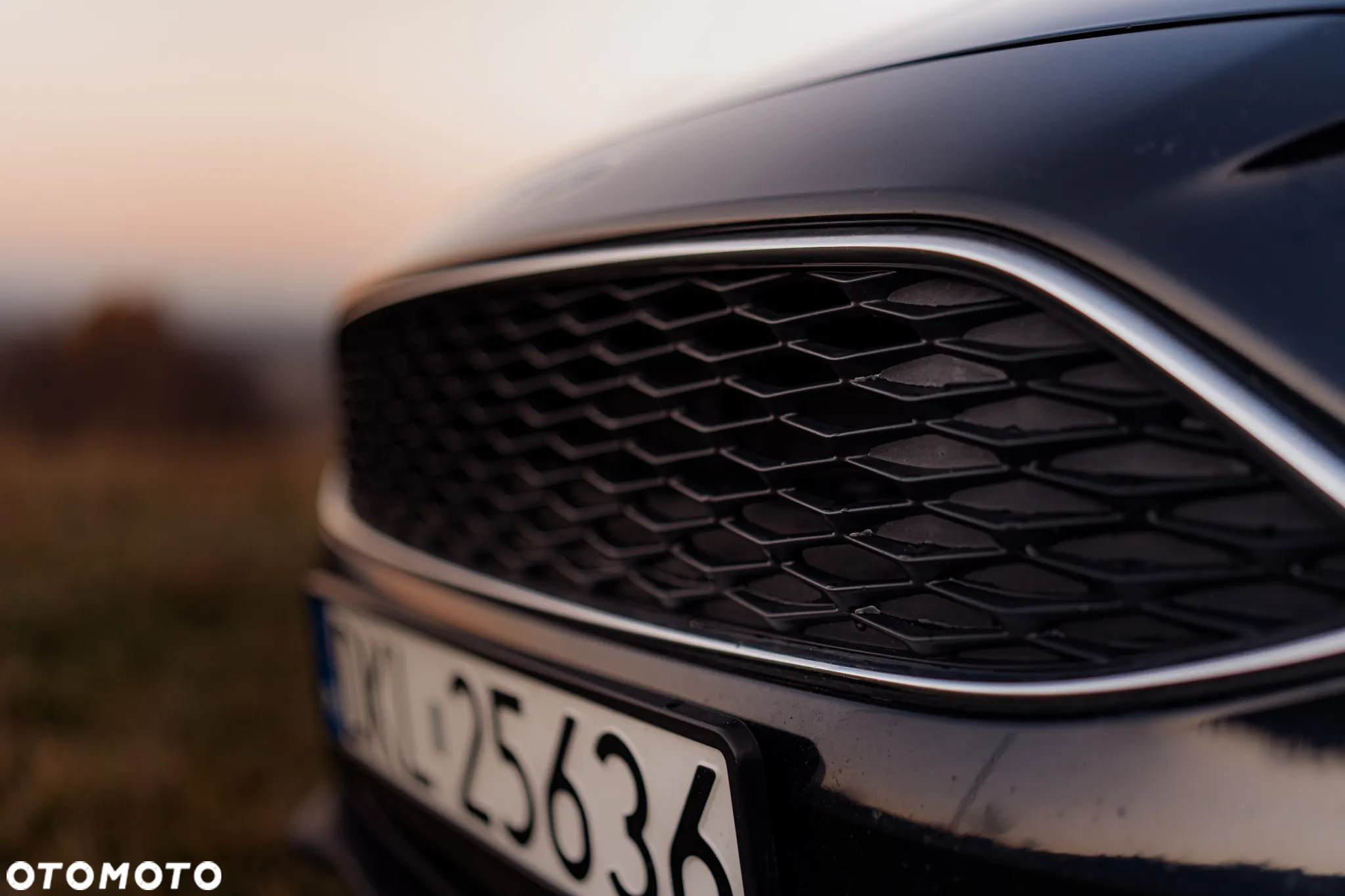 Ford Focus - 18