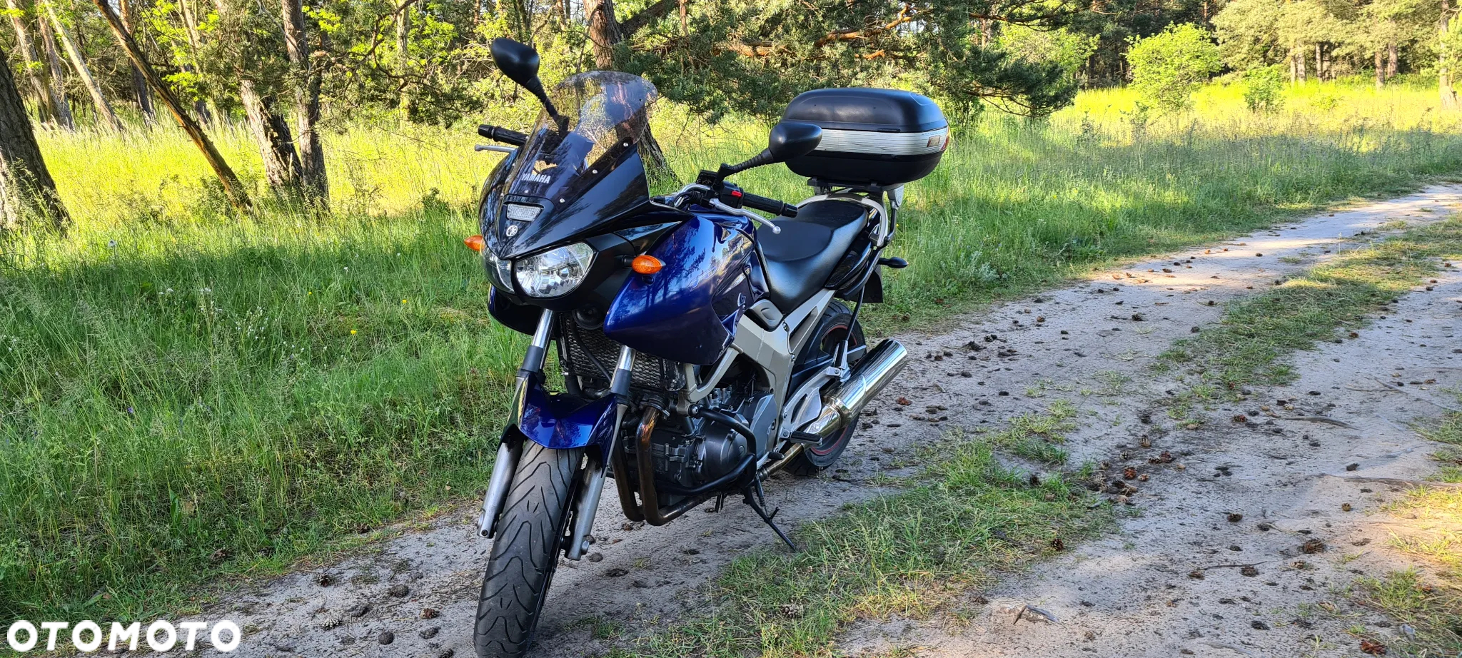 Yamaha TDM - 12