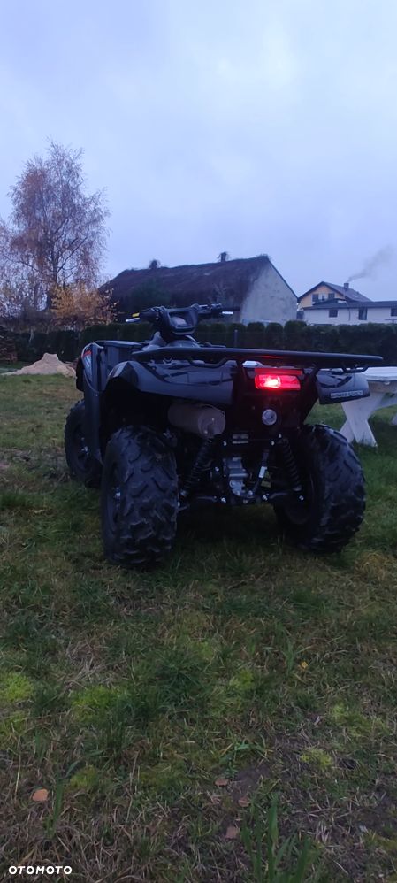 Kawasaki Brute Force - 3