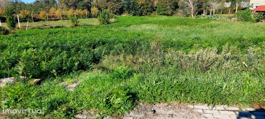 Terreno Rústico - Fiscal - Grande imagem: 2/5