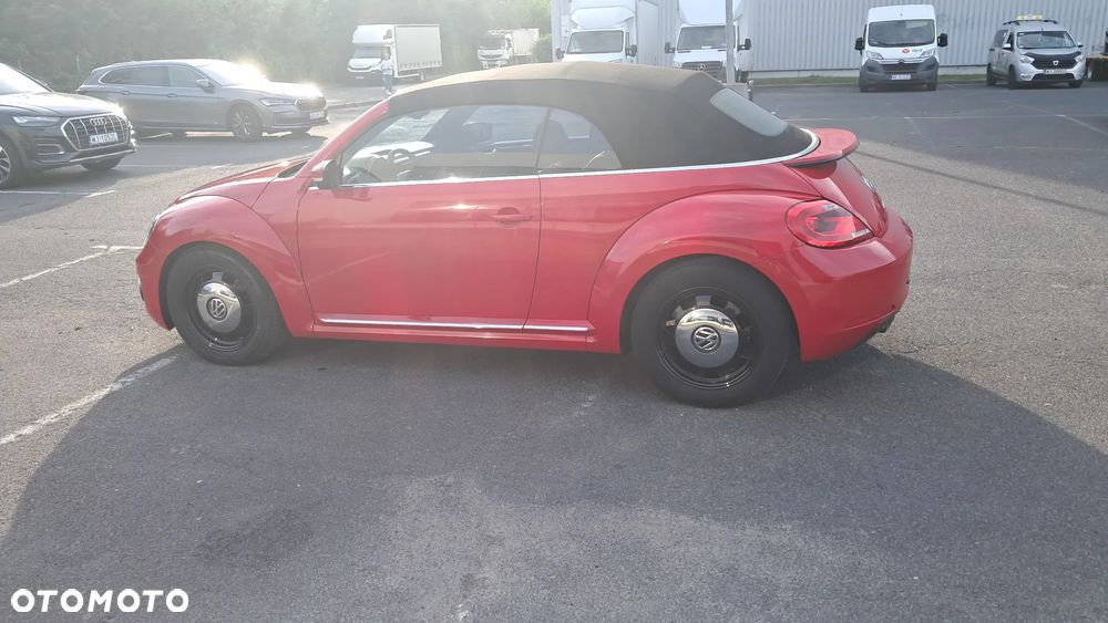 Volkswagen Beetle - 8