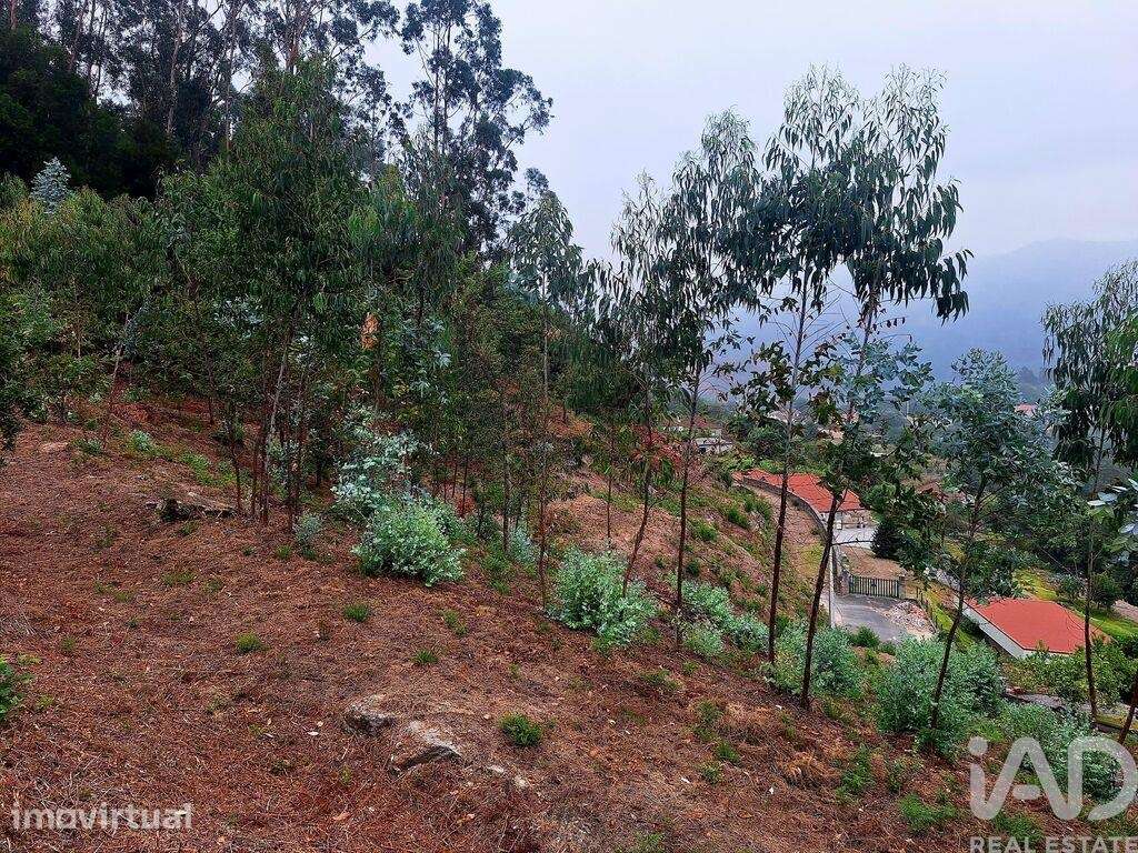 Terreno Agrícola em Portela e Extremo - Grande imagem: 5/7