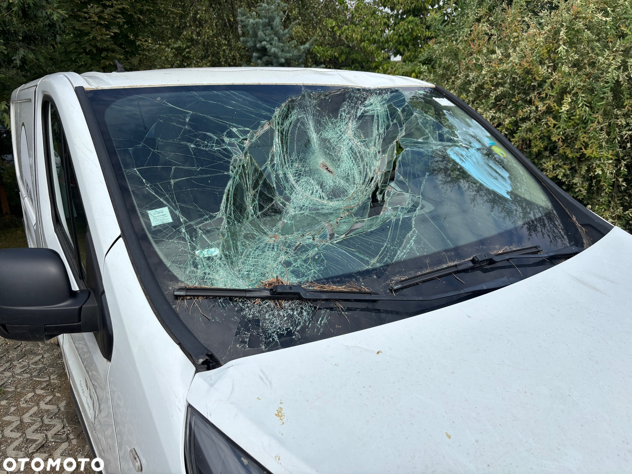 Renault Trafic - 4