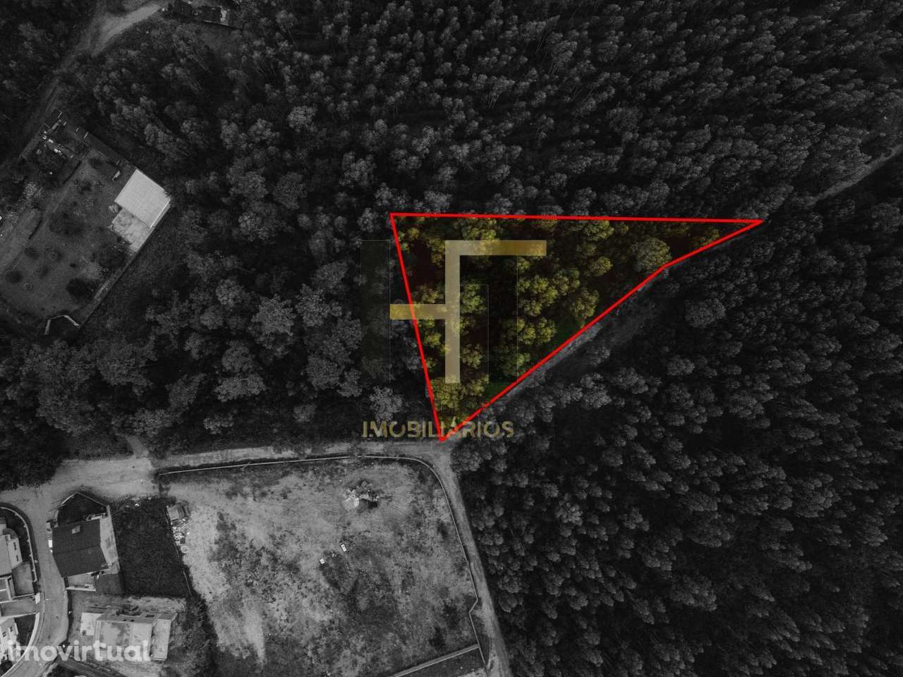 Terreno Rústico | 4.250m² em Gemunde | Oportunidade Única de Invest - Grande imagem: 4/13