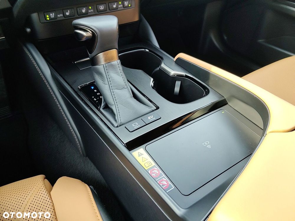 Lexus ES 300h Omotenashi - 28