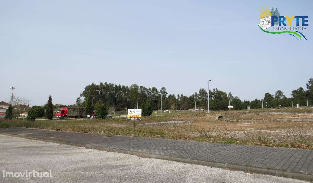 Lote para construção em urbanização no Alto Ventoso-Cernache Bonjardim - Grande imagem: 3/5