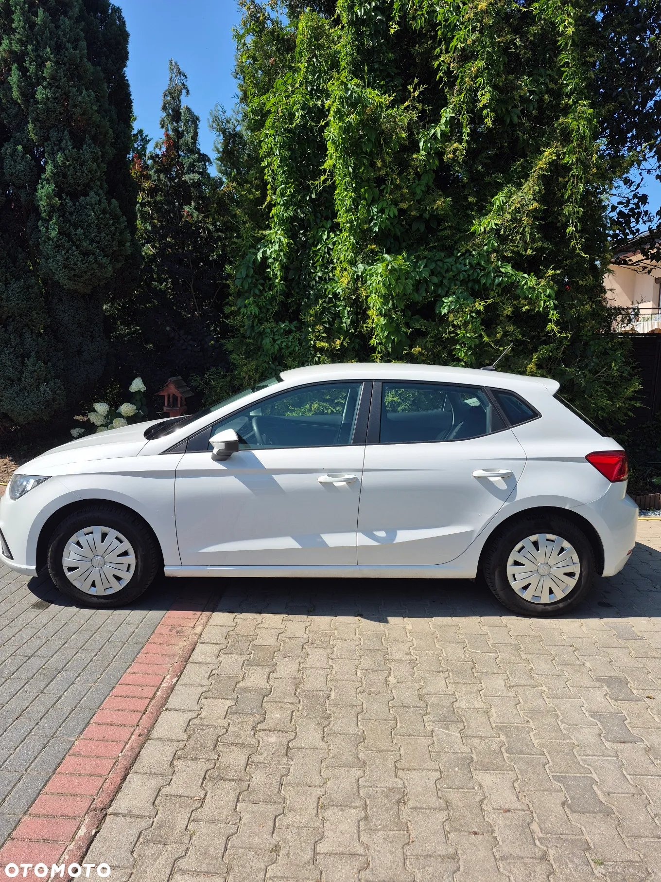 Seat Ibiza 1.6 TDI Reference - 2