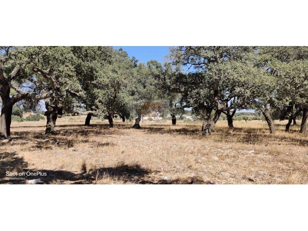 Moradia com piscina PROJECTO CHAVE na MÃO - Grande imagem: 2/11