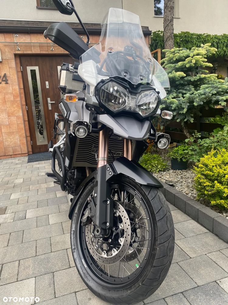 Triumph Tiger - 18