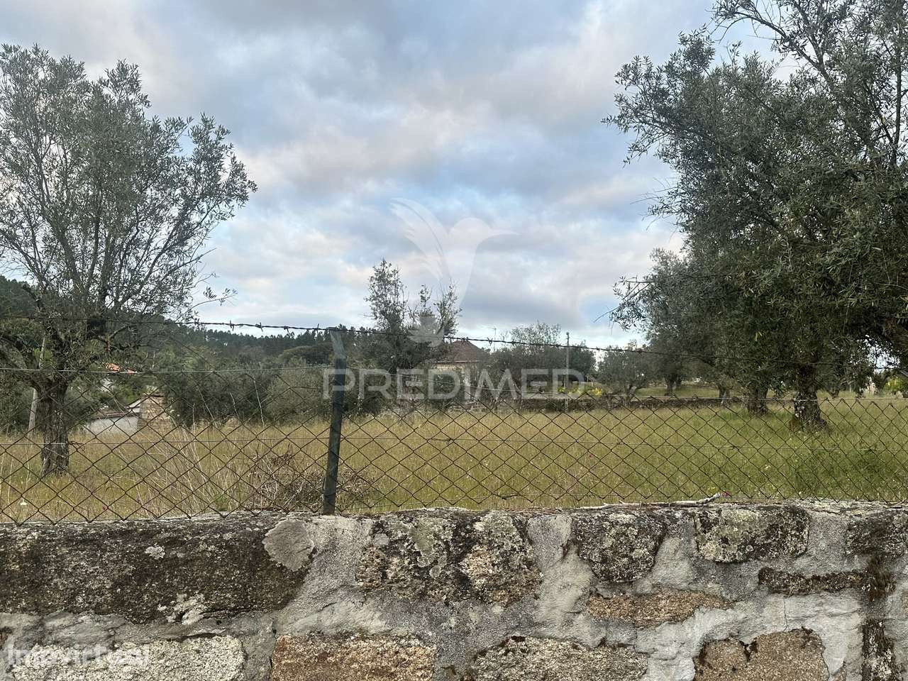 Moradia para restauro com 8.884m2 de terreno - Grande imagem: 5/11