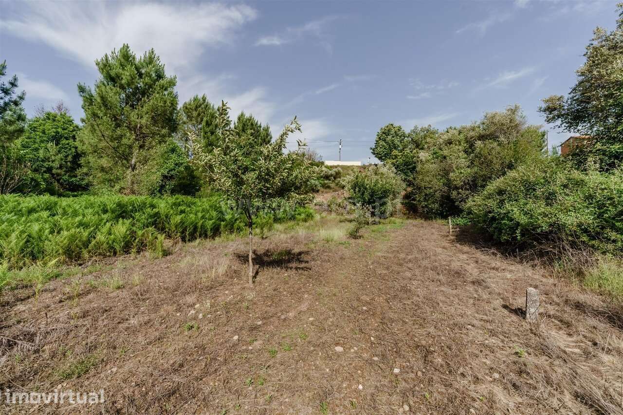 Terreno / Covilhã, Paul - Grande imagem: 3/19