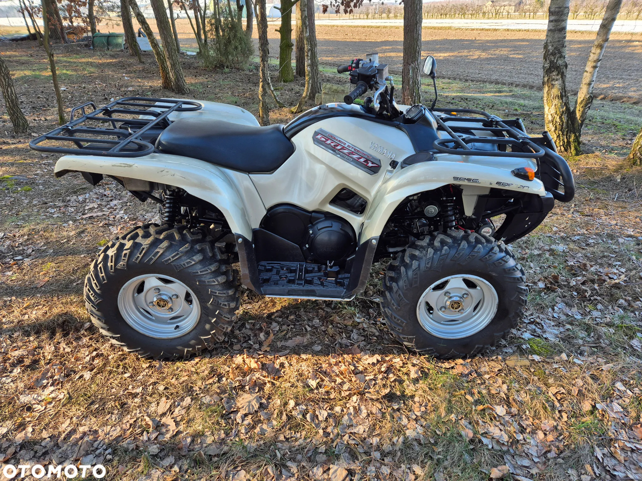 Yamaha Grizzly