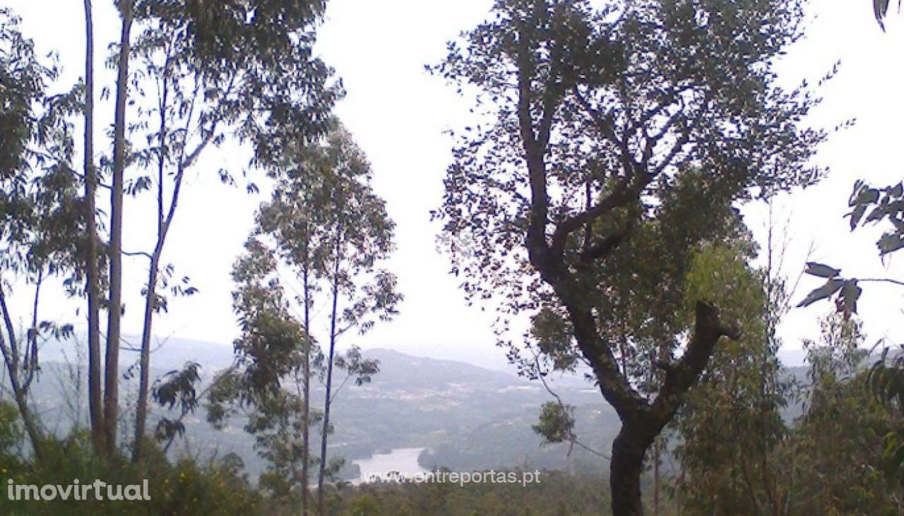 Venda Terreno, Vila Cova, Penafiel - Grande imagem: 5/16