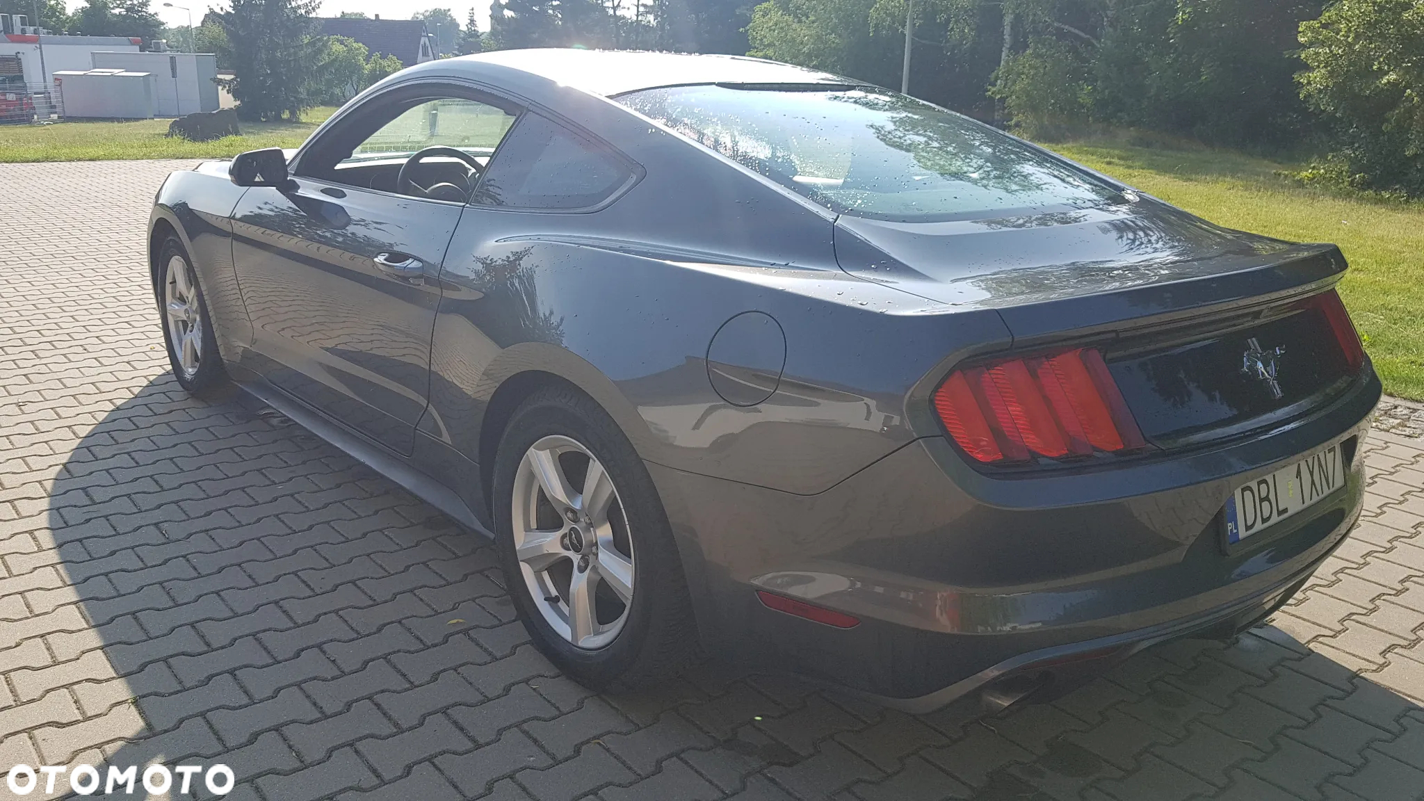 Ford Mustang - 5