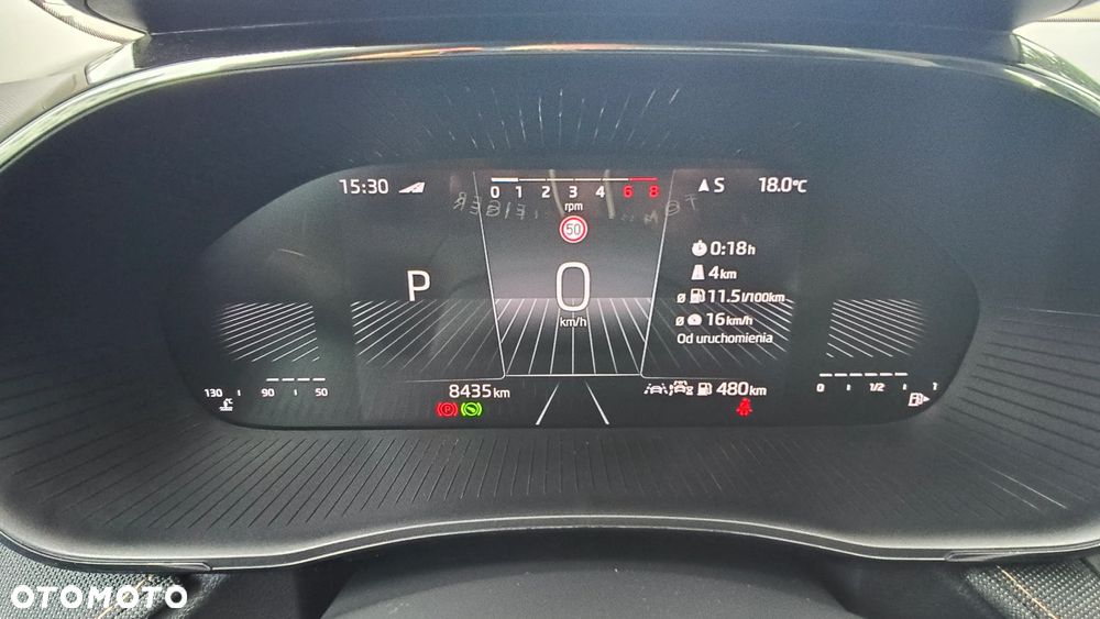 Skoda Fabia 1.0 TSI Edition 130 DSG - 19