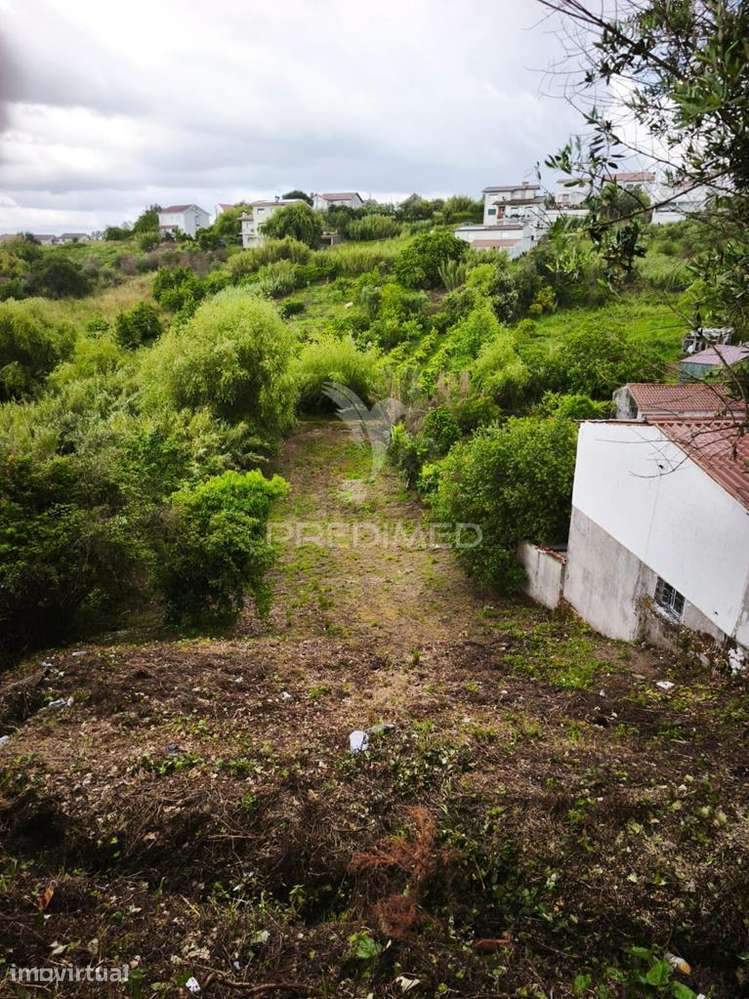 Terreno construção Almalaguês, Coimbra - Grande imagem: 3/5